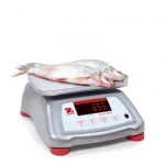 Ohaus Valor 4000 Compact Scale
